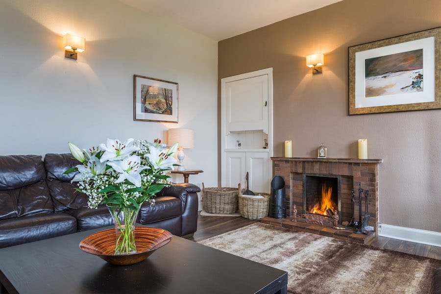 fireplace with log fire